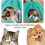 Pompoen kattenmand S/M/L – Pluche, halfopen dierenhol 3