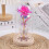 Lámpara de cúpula de cristal Rosa Encantada con base de mariposa 4
