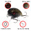 4.5cm Floating Paddle Tail Shrimp Lure (2 Pack) 4
