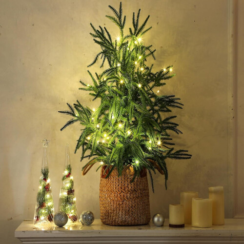 3ft Artificial Norfolk Pine Tree with Warm White LED Lights