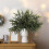18 crengi artificiale de pin Norfolk, 45 cm 5