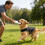 Abrigo para perros pequeños y medianos – Ajustable y cálido 5