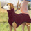 Dog Winter Base Layer Suit Waterproof Windproof Insulated 7