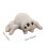 Spider Plush Toy Soft Stuffed Animal 25 cm 2
