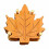 Maple Design Wood Trivets Set – Heat-Resistant Pot Holders 1