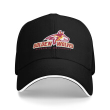 Alvernia University unisex baseball cap1pack