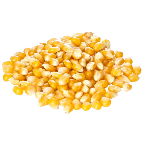 Old India Popping Corn 5Kg 2