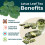 Lotus Leaf Herbal Tea 120g 5