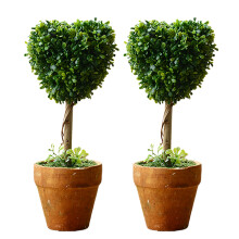 Artificial Plant Potted Green Succulents Small Tree Grass-2 3