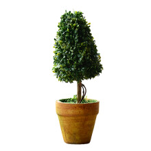 Artificial Succulents Plant Plant Decorations Cactus Small-1 1