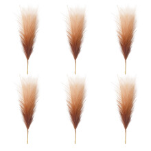 6 x Fade-Bulrush-Blumenstiele, robuste-Kaffeefarbe
