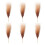 6 x Fade-Bulrush-Blumenstiele, robuste-Kaffeefarbe 1