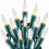 100-Count 25ft Christmas Mini Lights, Incandescent, Green 1