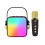 Mini Bluetooth karaoke machine with 2 wireless mics and 1