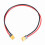 XT60 Han-til-hun forlængerkabel 12AWG 1