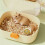 Hamster Travel Cage Portable PP Carrier Small 2