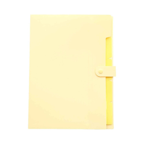 Pasta Sanfonada A4 Bege com 5 Bolsos 9,3 x 12,8 polegadas