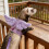 Ferret Leash Vest Chest and Back Harness for Small Pets 7