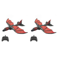 2X RC Plane 2.4G Simulated Flying Dragon Aircraft Remote Control Flying Model Glider Airplane EPP Foam Toys Gift