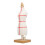 Mannequin de couture sur table 12,2 pouces Style 2 1