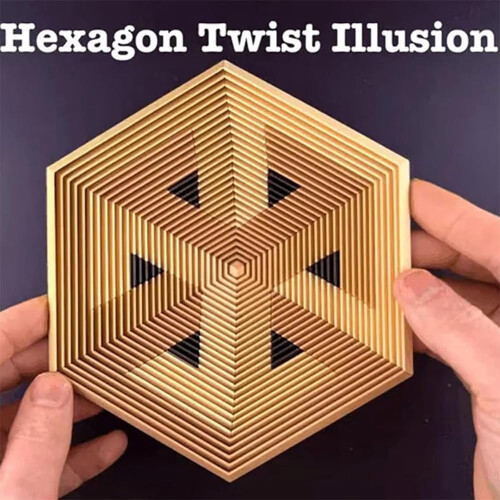 Εξάγωνο Twist Illusion Fidget GadgetΤρισδιάστατα Εκτυπωμένο 2