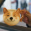 Κεραμική κούπα καφέ Shiba Inu 12oz 4