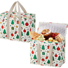 Sac isotherme à fond rigide avec fermeture éclair (lot de 2)