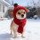 Cappello e sciarpa invernali per cani, in maglia rossa, con fori per le orecchie. 4