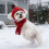 Cappello e sciarpa invernali per cani, in maglia rossa, con fori per le orecchie. 5
