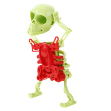 5Pcs Assorted Color Plastic Skeleton Toys for Party Fun and Decoration