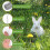 MultiPurpose Galvanized Mesh Roll Used in Garden for-15 meters 7