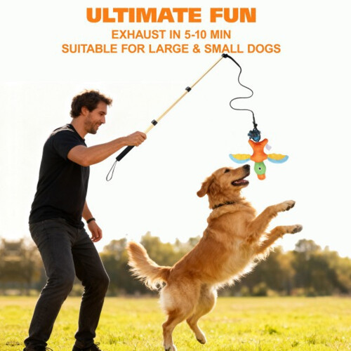 7pack Durability Pet Training Accessories Features Flirts-Gold 1