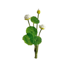 White Faux Lotus Flowers with Leaves – 1 Piece Home Decor