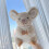 Peluche a forma di cincillà in cotone PP, cuscino imbottito (1 pezzo) 2