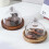 Wood And Glass Serving Tray For Cake Display Multi Functional-1 6