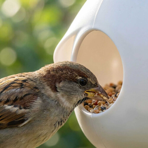 Mangeoire à oiseaux avec abri – Blanche, imprimée en 3D 2