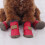 Small Puppy Snow Boots Waterproof Warm Booties 4PCS 3