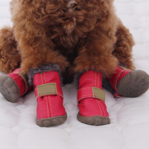 Puppy Snow Boots Waterproof Warm Booties 4PCS 2