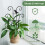 Treillis de bordure de jardin, Support pour plantes-C 2