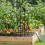 Treillis de bordure de jardin, Support pour plantes-C 6