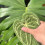 Serviette à main en polaire douce en forme de feuille tropicale, 7