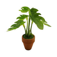 Decorative Faux Succulents Greenery Plant With Clay Pot-2