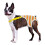 Eashable Pet Underwear Sanitary Panties With Strap For-S 3 1