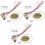 Contact Microphone Triggers Piezo Disc 15 pcs 3