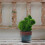Rabbit Shape Insert Rabbit Simulation Green Insert Potted Easter Bunny Suitable For Easter Decoration Indoor Desk Style (3D Style) 5