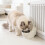 Cat Water Bowl Shaped Dispenser for Hydration 5