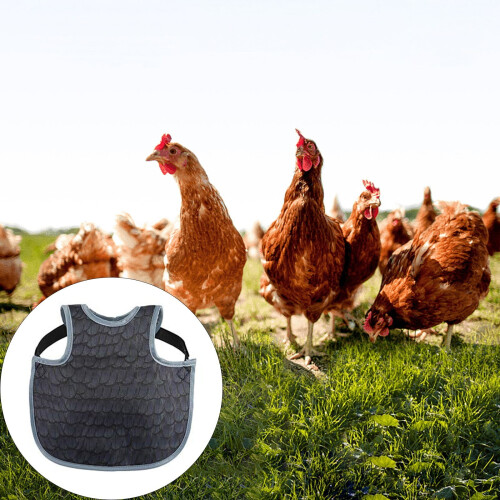 Set di grembiuli impermeabili a sella per galline (2 pezzi) 1