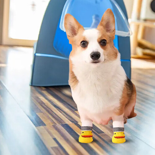 Hundesocken mit Silikonsohlen – 8-teiliges Set 1
