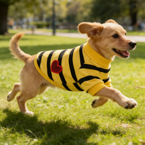 Haut rayé en forme de cœur pour petits chats et chiens 1