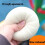 Γιγαντιαία ζυμαρικά με γκλίτερ, Jumbo Squishy με κουτί ατμομάγειρα, ζύμη αισθητηριακής 6